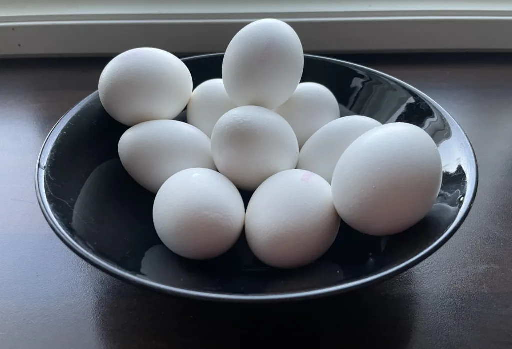 halvin proteiinin lähde